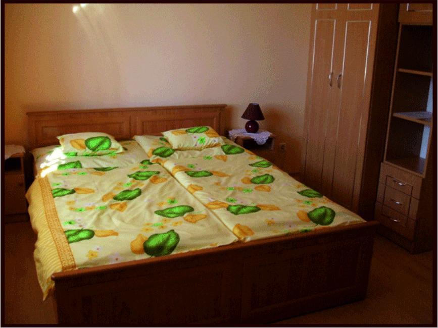 Erika Vendeghaz Hotel Buk Bilik gambar